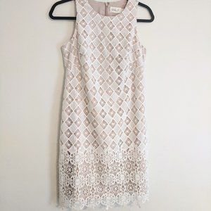 Eliza J Nordstroms Soft White lace dress - Wedding